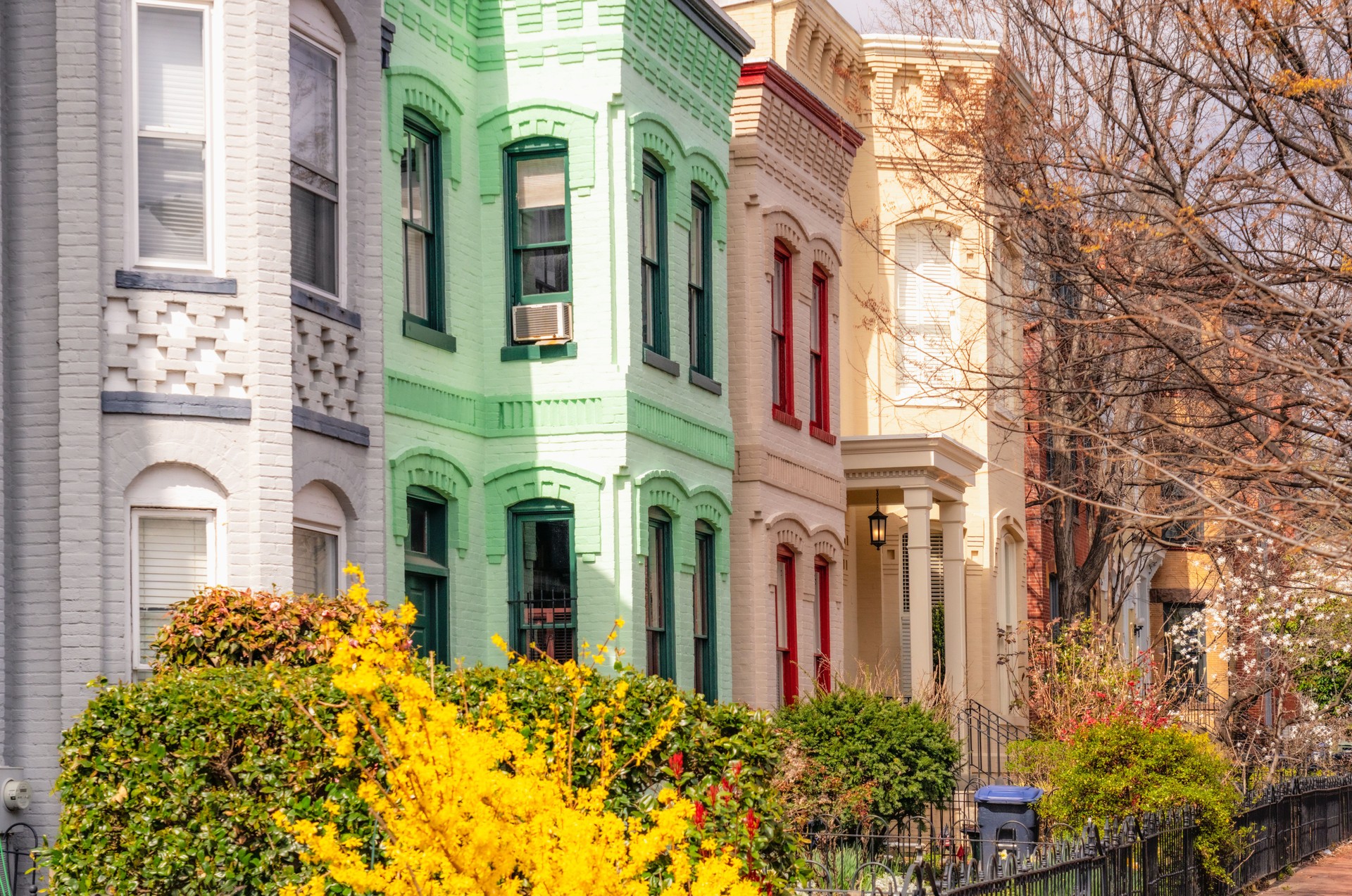 Capitol Hill in Springtime